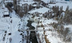 Kısmen donan Muradiye Şelalesi'nin çevresi beyaza büründü