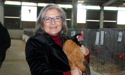 KOSGEB desteğiyle kurduğu işletmede 'Tavuk Doktoru' markasıyla kanatlı sağlığına odaklandı