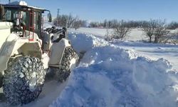Malatya'da kar nedeniyle kapanan 66 mahallenin yolu açıldı