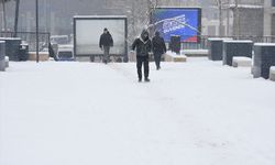 Malatya'da kar yağışı etkisini sürdürüyor
