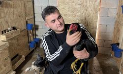 Mandıra kuran bedensel engelli genç, tekerlekli sandalyeyle ahıra girip hayvanlarını besliyor