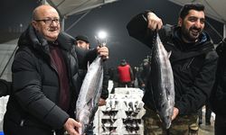 Marmara Denizi'nde torik bolluğu yaşanıyor