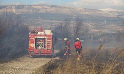 Mersin'de tarla ve çalılık alanda çıkan yangın söndürüldü