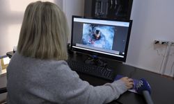 MEÜ İletişim Fakültesi Dekanı Prof. Dr. Çobaner AA'nın 'Yılın Kareleri' oylamasına katıldı