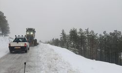 Muğla'da kar ve buzlanma nedeniyle araçlar yolda kaldı