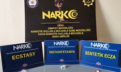 Ordu'da uyuşturucu operasyonunda yakalanan 2 şüpheli tutuklandı