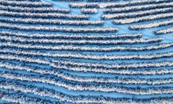 Palandöken Dağı'nın karla kaplı ormanları havadan görüntülendi