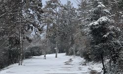 Sakarya ve çevre illerde kar etkili oldu