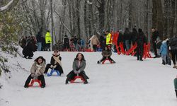 Sakarya'da çocuklar ve aileleri karın keyfini kızak şenliğinde çıkardı