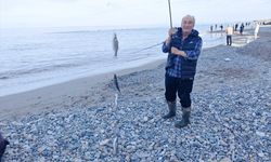 Samsun'da kafesten kaçan balıklar amatör balıkçıların yüzünü güldürdü