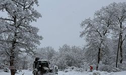 Samsun'da kar etkili oluyor
