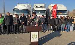 Şanlıurfa'dan Suriye'ye 3 tır insani yardım malzemesi gönderildi