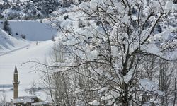 Sivas'ta Pusat-Özen Barajı'nın yüzeyi buz tuttu