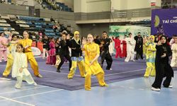 'Tai Chi Türkiye Şampiyonası' başladı