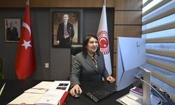 TBMM Dilekçe Komisyonu Başkanı Karamık, AA'nın 'Yılın Kareleri' oylamasına katıldı