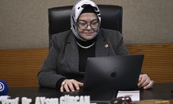 TBMM Milli Eğitim, Kültür, Gençlik ve Spor Komisyonu Başkanı Gürcan, AA'nın 'Yılın Kareleri' oylamasına katıldı