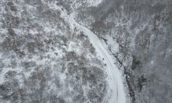 Tekirdağ'da beyaza bürünen ormanlar havadan görüntülendi