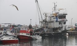 Tekirdağlı balıkçılar sis nedeniyle 2 gündür denize açılamıyor