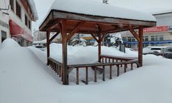 Tokat'ın ilçelerinde kar etkili oluyor