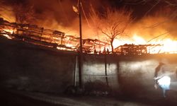 Tokat'ta çıkan yangında tek katlı ev kullanılmaz hale geldi