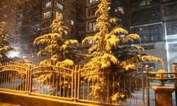 Tokat'ta kar yağışı etkili oluyor