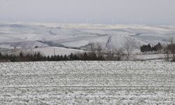 Trakya'da kar yağışı tarım arazilerine can suyu oldu
