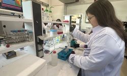 Türk bilim insanları kutuplardaki bazı canlıların dışkı örneklerinden bölgenin kirliliğini belirleyecek