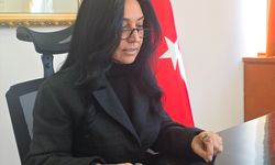 Türkiye'nin Madrid Büyükelçisi Küçükel Ezberci, AA'nın 'Yılın Kareleri' oylamasına katıldı: