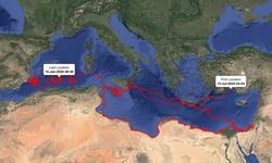 Uydudan izlenen caretta caretta 'Gümüş' yaklaşık 24 bin kilometre katetti