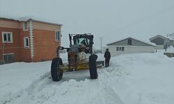 Van, Bitlis, Muş ve Hakkari'de 225 yerleşim yerine ulaşım sağlanamıyor