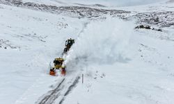 Van, Bitlis, Muş ve Hakkari'de 530 yerleşim yerine ulaşım sağlanamıyor