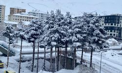 Van, Hakkari, Bitlis ve Muş'ta 1012 yerleşim yerine ulaşım sağlanamıyor