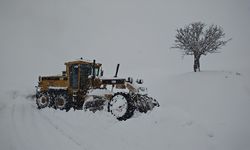Van, Hakkari, Muş ve Bitlis'te 539 yerleşim yerinin yolu kapandı