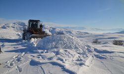 Van, Muş, Hakkari ve Bitlis'te 167 yerleşim yerine ulaşım sağlanamıyor