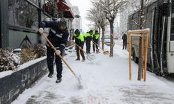 Van'da etkili olan kar ulaşımı aksattı