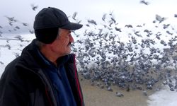 Yaban kuşlarına 'sofra' kurmak için her sabah kar kürüyor