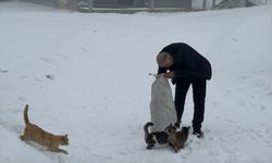 Yazın 2 bin nüfuslu köyde kışın yalnızca muhtar ve ailesi yaşıyor