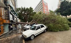 Adana'da sağanak ve şiddetli rüzgar hayatı olumsuz etkiledi