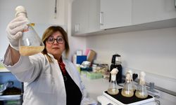 Akademisyenler, gıdalarda oluşan mantar ve küflerin çoğalmasını engelleyen yeni nesil bileşik geliştirdi