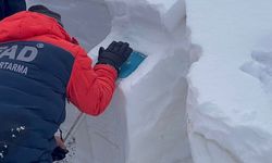 Artvin Valiliği'nden Ardanuç'taki çığ olayına ilişkin açıklama: