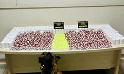 Artvin'de uyuşturucu operasyonunda 1 şüpheli gözaltına alındı