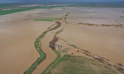 Aydın'da Büyük Menderes Nehri taştı, ekili alanlar su altına kaldı