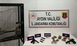 Aydın'da silah kaçakçılığı operasyonunda gözaltına alınan şüpheli tutuklandı