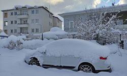 Bingöl'de 15 yerleşim yerine ulaşım sağlanamıyor