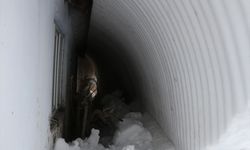 Bingöl'de kar yaşamı olumsuz etkiliyor