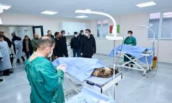 Bitlis'te 6 ayda 1752 sahipsiz köpek barınağa alındı