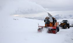 Bitlis'te 'kar kaplanları' kesintisiz ulaşım için sahada