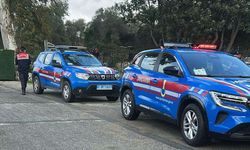 Bodrum'da 2 köpeğin tüfekle öldürülmesiyle ilgili 1 kişi yakalandı