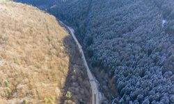 Bolu ve Düzce'nin yüksek kesimlerine kar yağdı