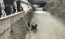 Bursa'da dereye düşen kişi ağır yaralandı